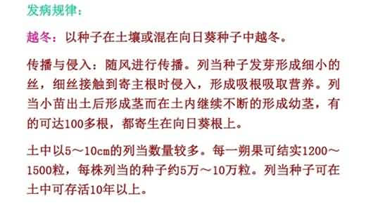 无标题.jpg向4_副本.jpg