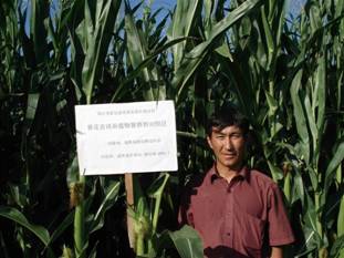 06年在阿勒泰地域玉米地的试验图片.jpg