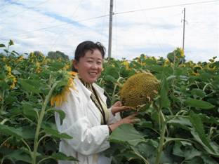 06年阿勒泰地域土肥站的专家在观察油葵示范地.jpg