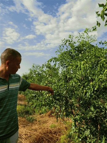 20140127112836874