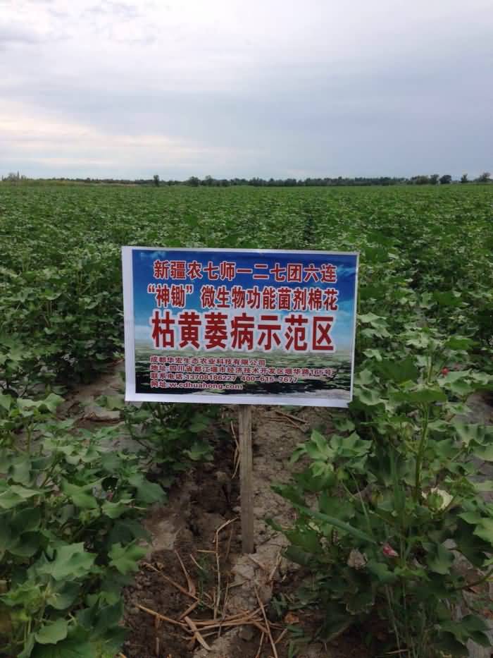 20150711000035993