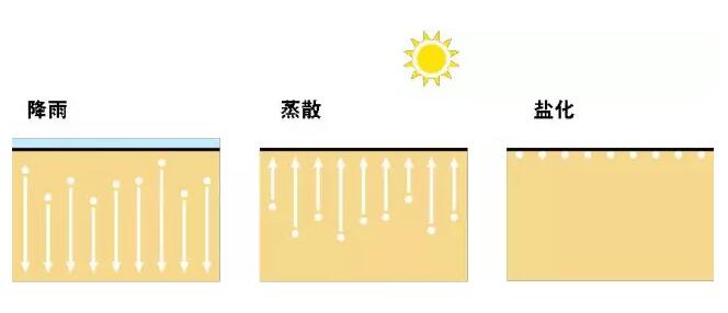 20180116105730640