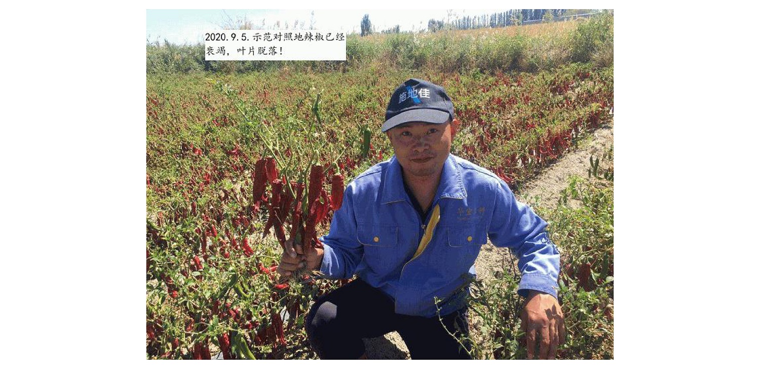 一种修复泥土重金属的生物有机肥料及其制备步骤--成都冰球突破官网曹刚整顿的资料2021.12.7.0047.jpg