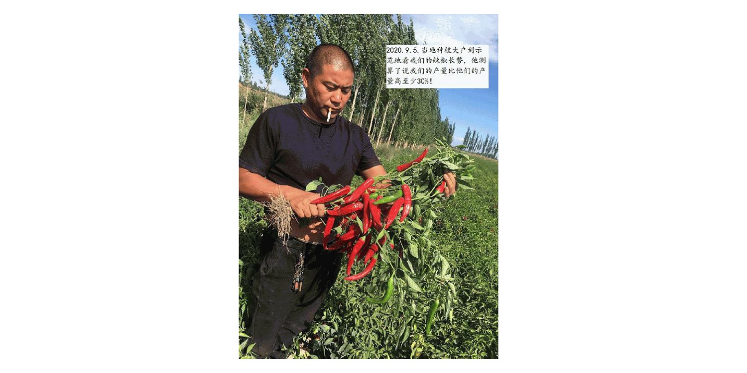 一种修复泥土重金属的生物有机肥料及其制备步骤--成都冰球突破官网曹刚整顿的资料2021.12.7.0048.jpg