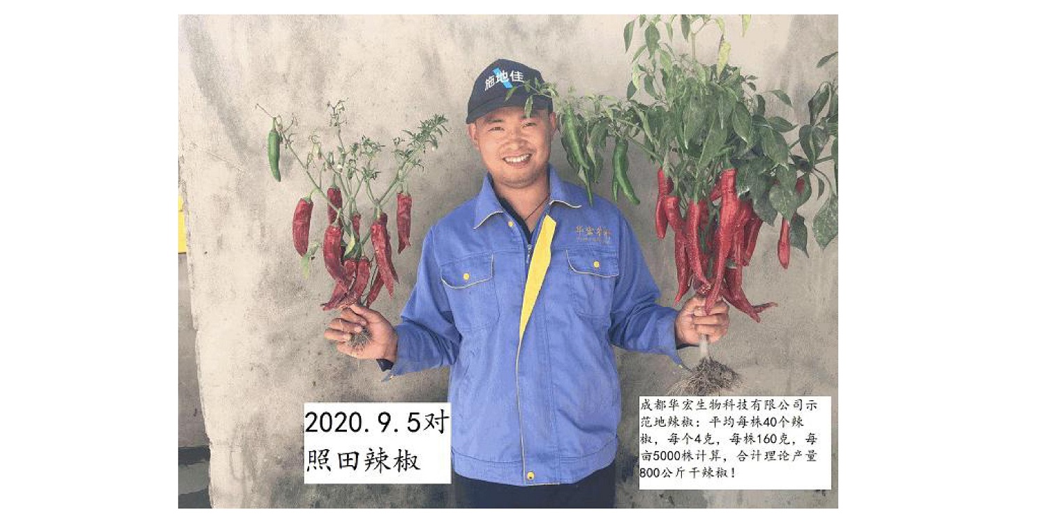 一种修复泥土重金属的生物有机肥料及其制备步骤--成都冰球突破官网曹刚整顿的资料2021.12.7.0049.jpg