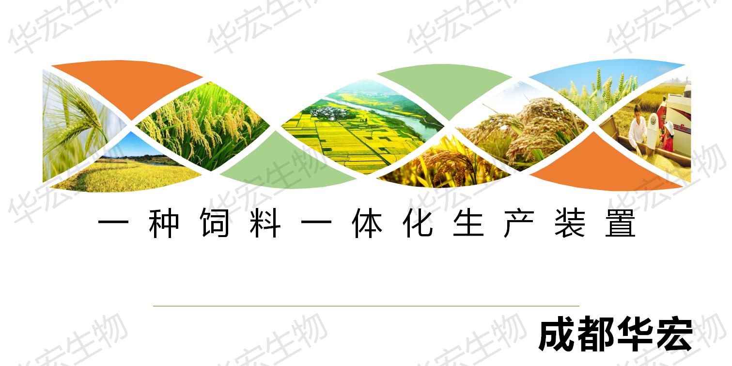 一种饲料一体化出产装置_01.jpg