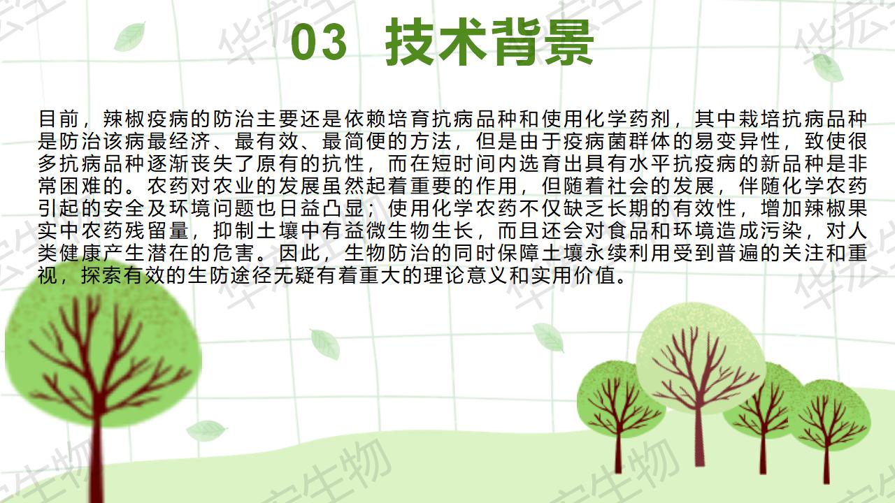 一种生物防治辣椒疫病的组合物及制备步骤和利用_11.jpg