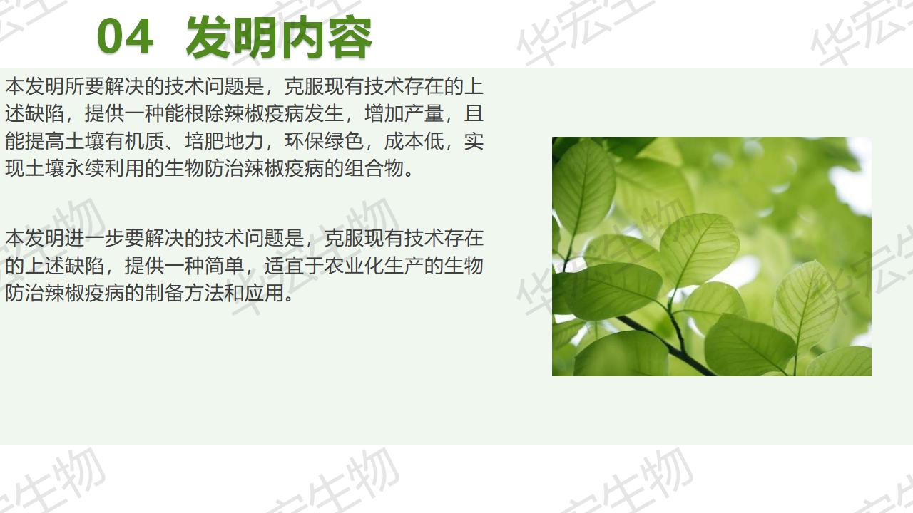 一种生物防治辣椒疫病的组合物及制备步骤和利用_13.jpg