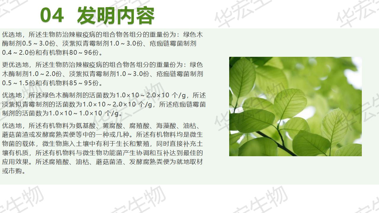 一种生物防治辣椒疫病的组合物及制备步骤和利用_15.jpg