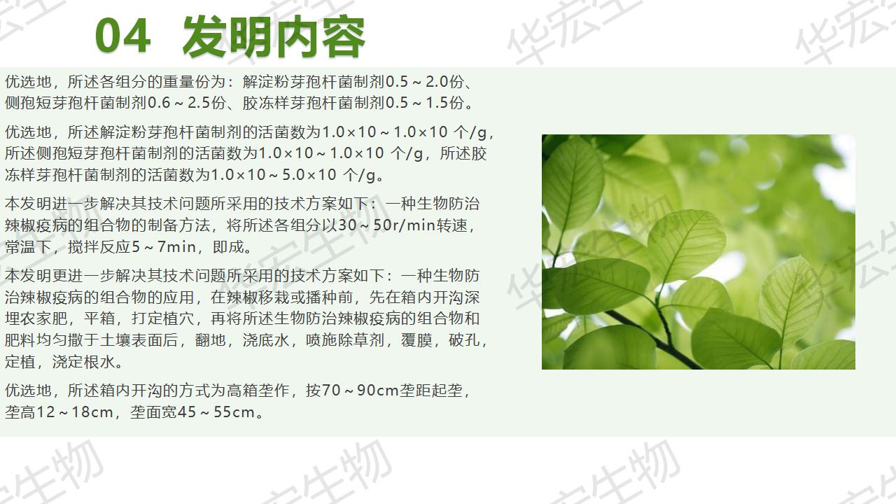 一种生物防治辣椒疫病的组合物及制备步骤和利用_17.jpg