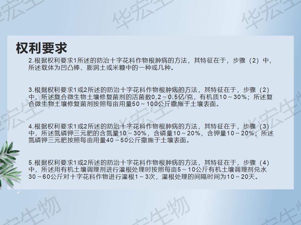 一种防治十字花科作物根肿病的步骤_07.jpg