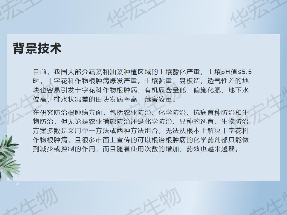 一种防治十字花科作物根肿病的步骤_10.jpg