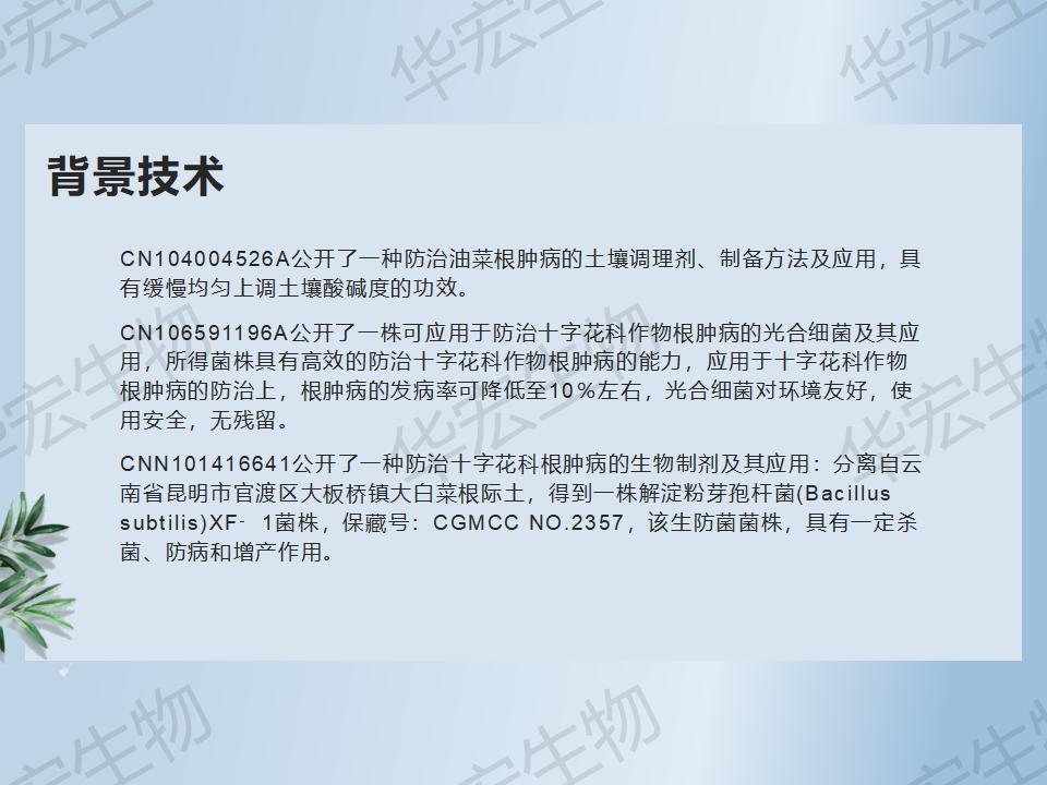 一种防治十字花科作物根肿病的步骤_11.jpg
