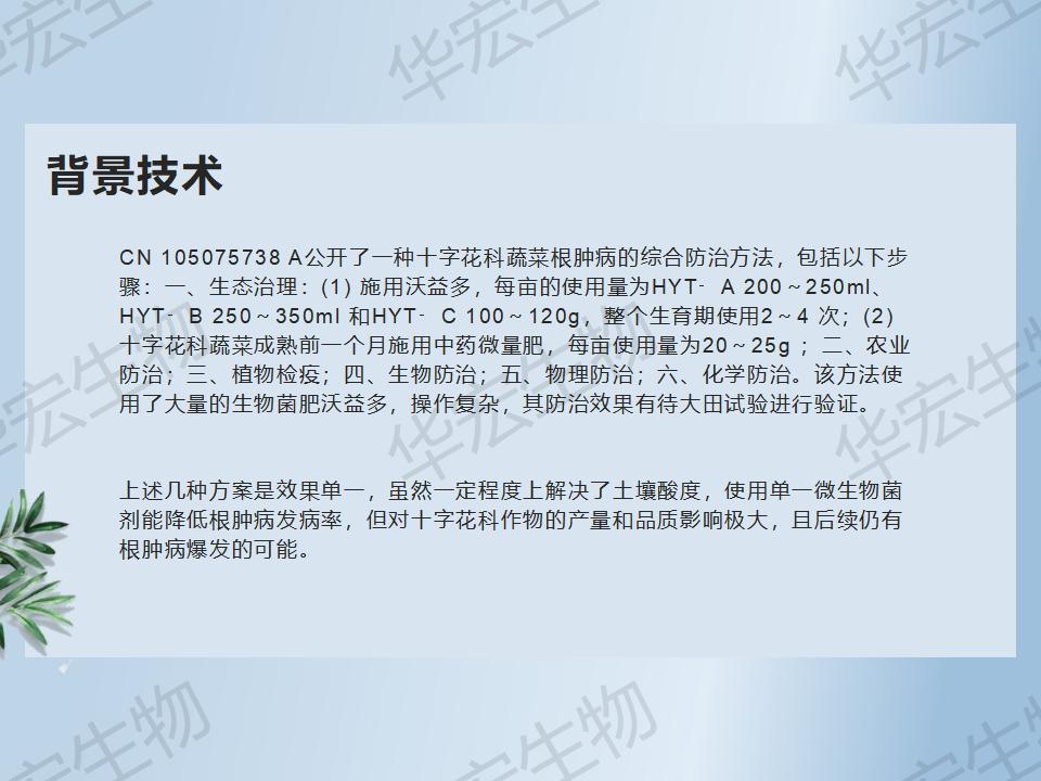 一种防治十字花科作物根肿病的步骤_13.jpg