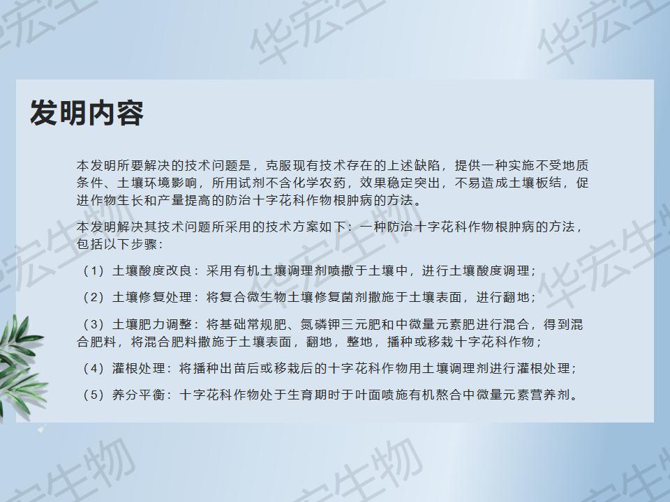 一种防治十字花科作物根肿病的步骤_15.jpg