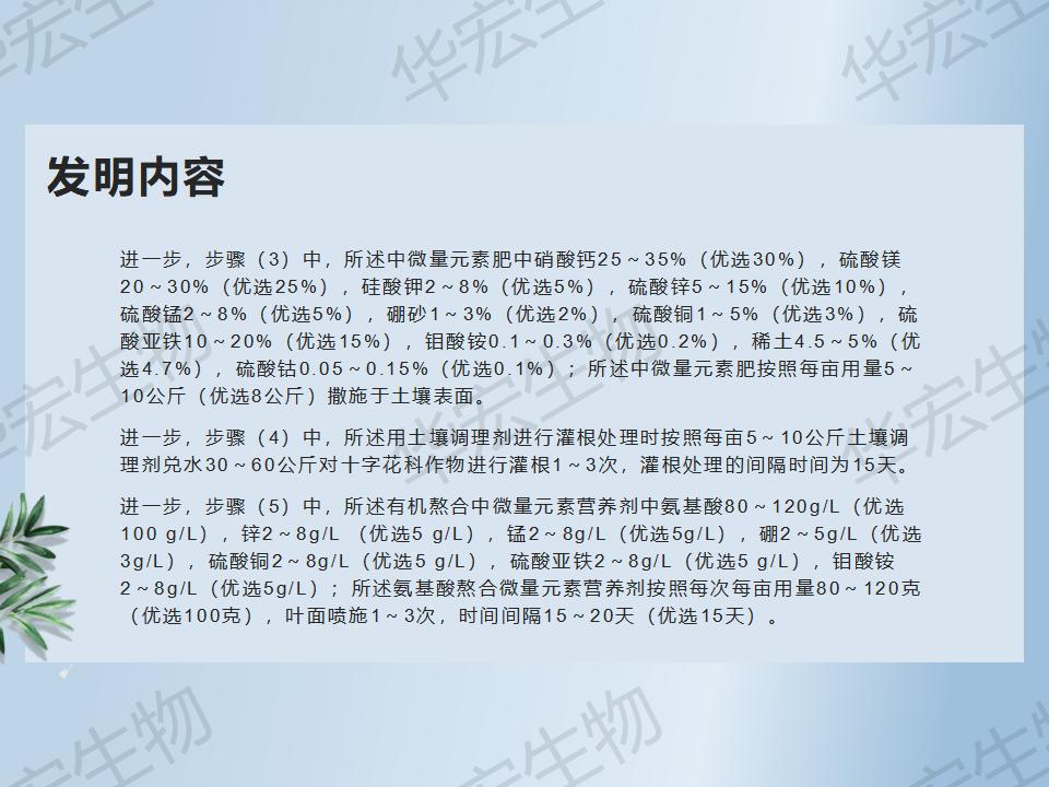 一种防治十字花科作物根肿病的步骤_17.jpg