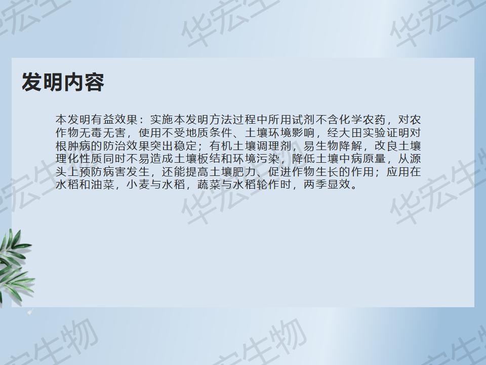 一种防治十字花科作物根肿病的步骤_19.jpg