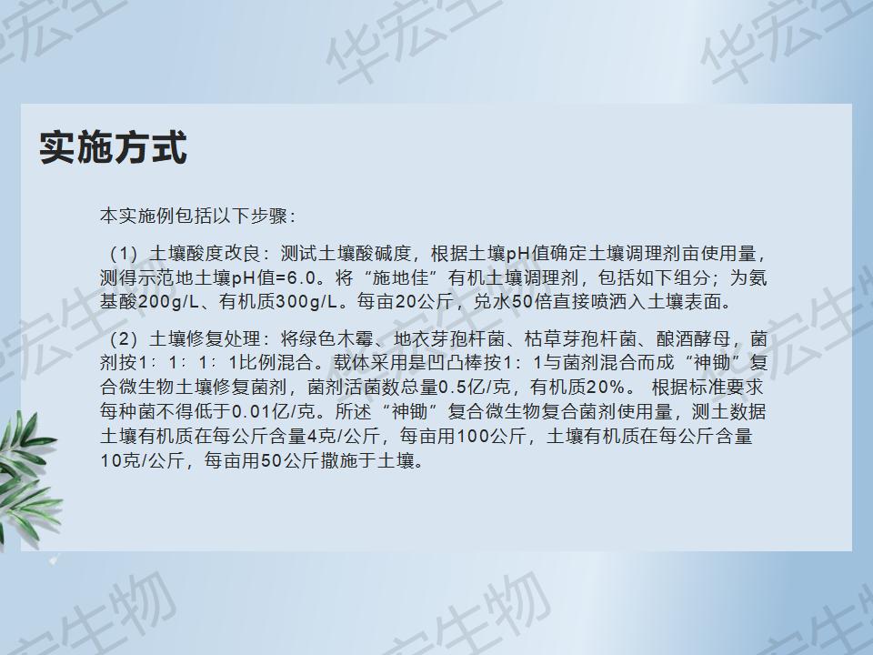 一种防治十字花科作物根肿病的步骤_27.jpg