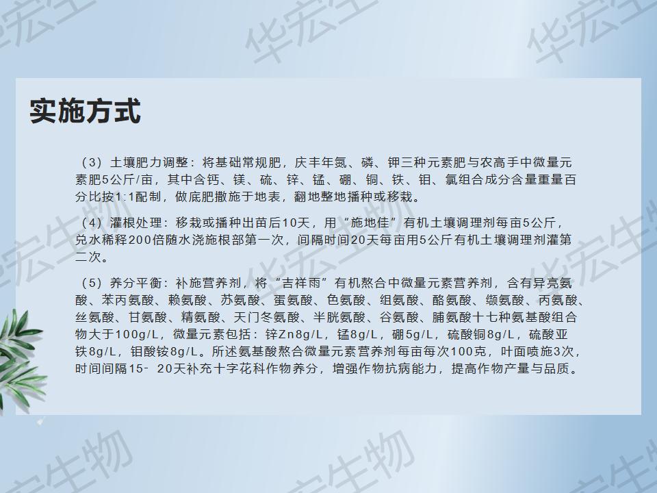 一种防治十字花科作物根肿病的步骤_28.jpg