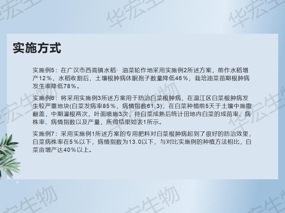一种防治十字花科作物根肿病的步骤_38.jpg