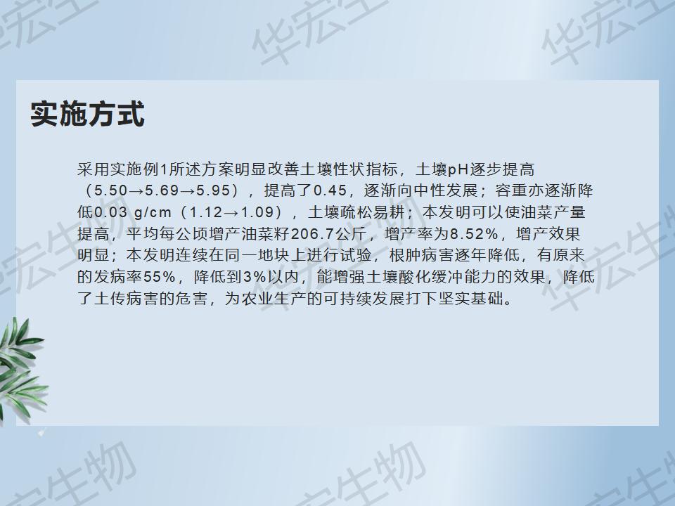 一种防治十字花科作物根肿病的步骤_40.jpg