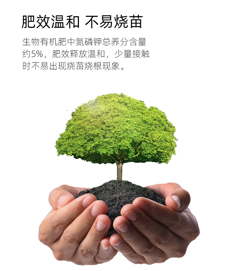 和善.png