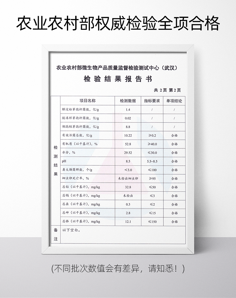 检验汇报.png